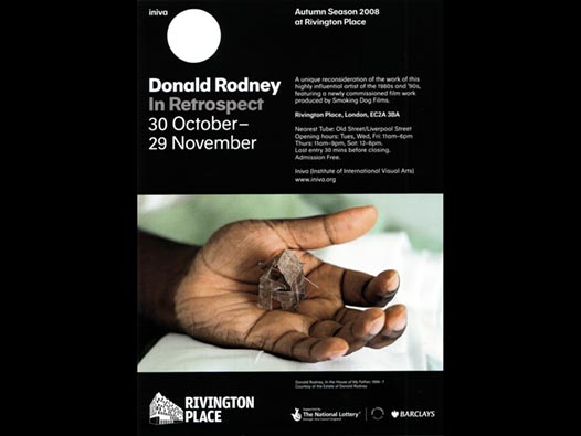 image of Donald Rodney | In Retrospect 